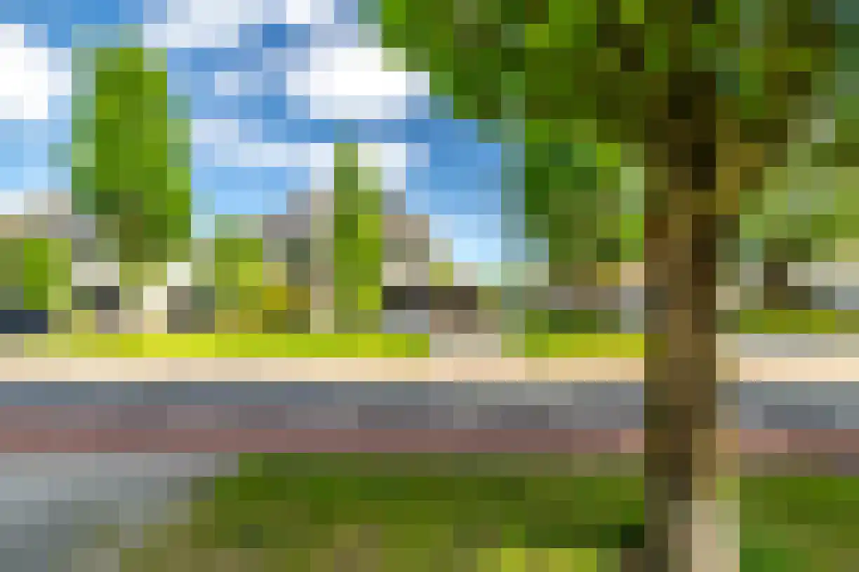 Schering 7 Wierden thumbnail 49
