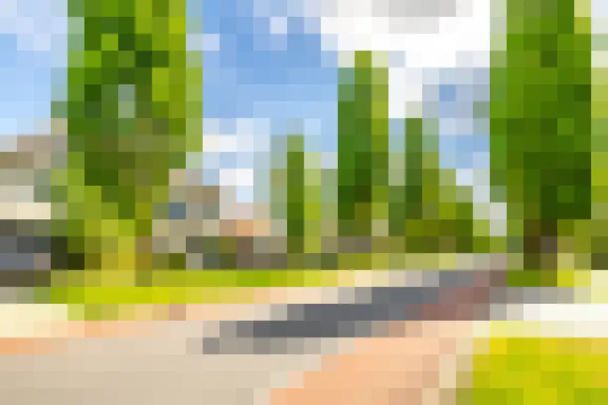 Schering 7 Wierden thumbnail 50