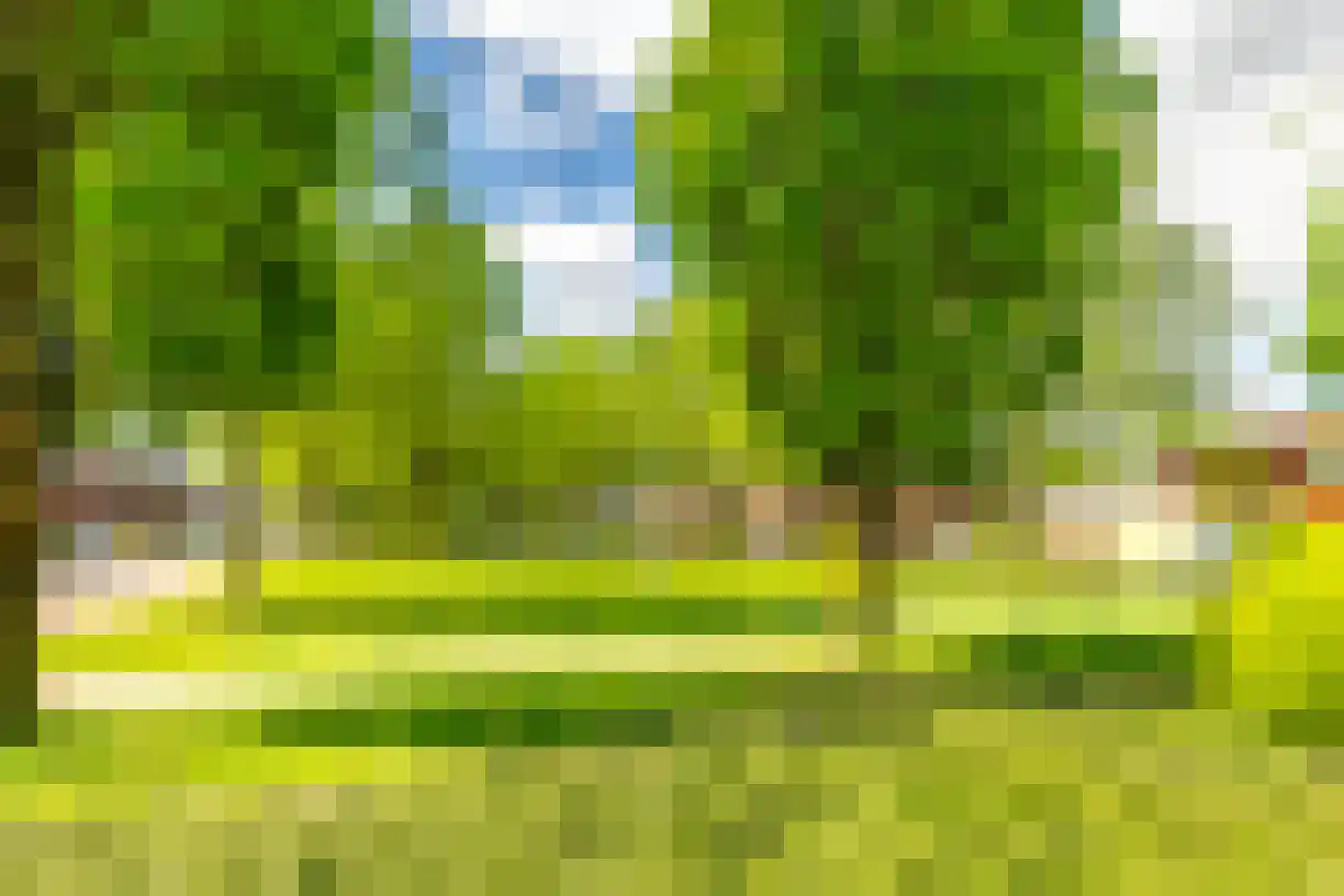 Schering 7 Wierden thumbnail 51