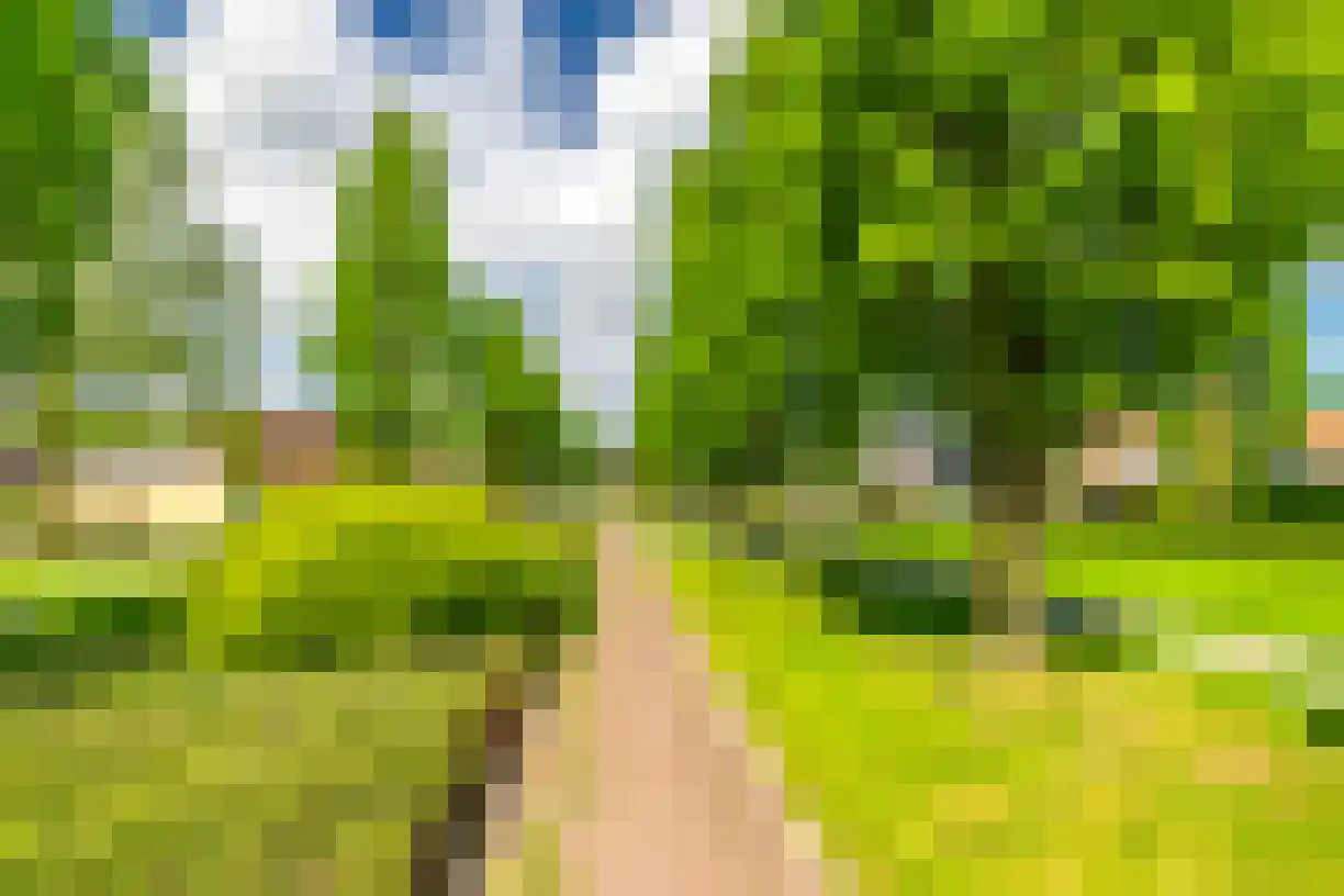 Schering 7 Wierden thumbnail 52
