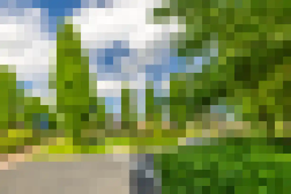 Schering 7 Wierden thumbnail 53