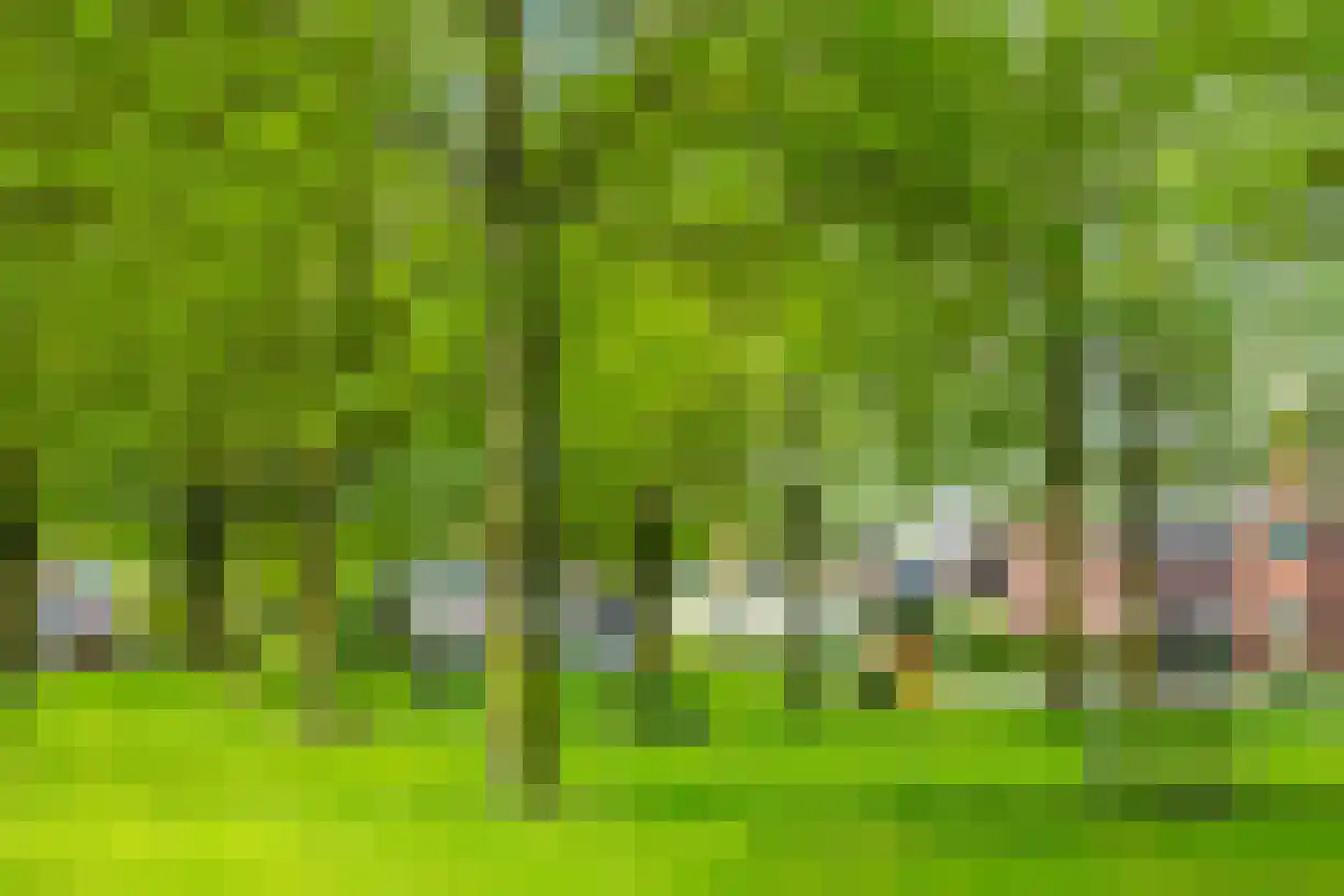 Schering 7 Wierden thumbnail 54