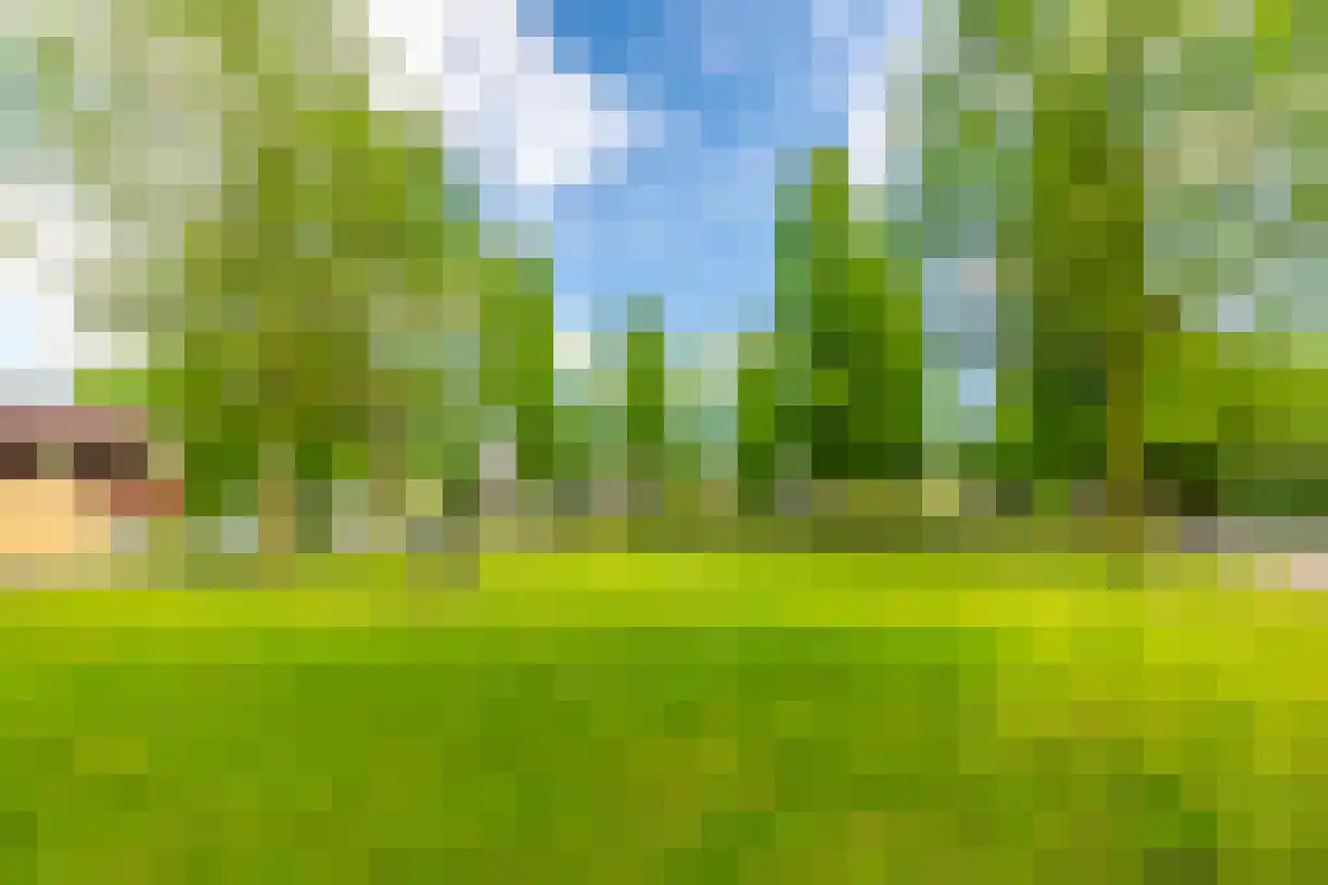 Schering 7 Wierden thumbnail 55