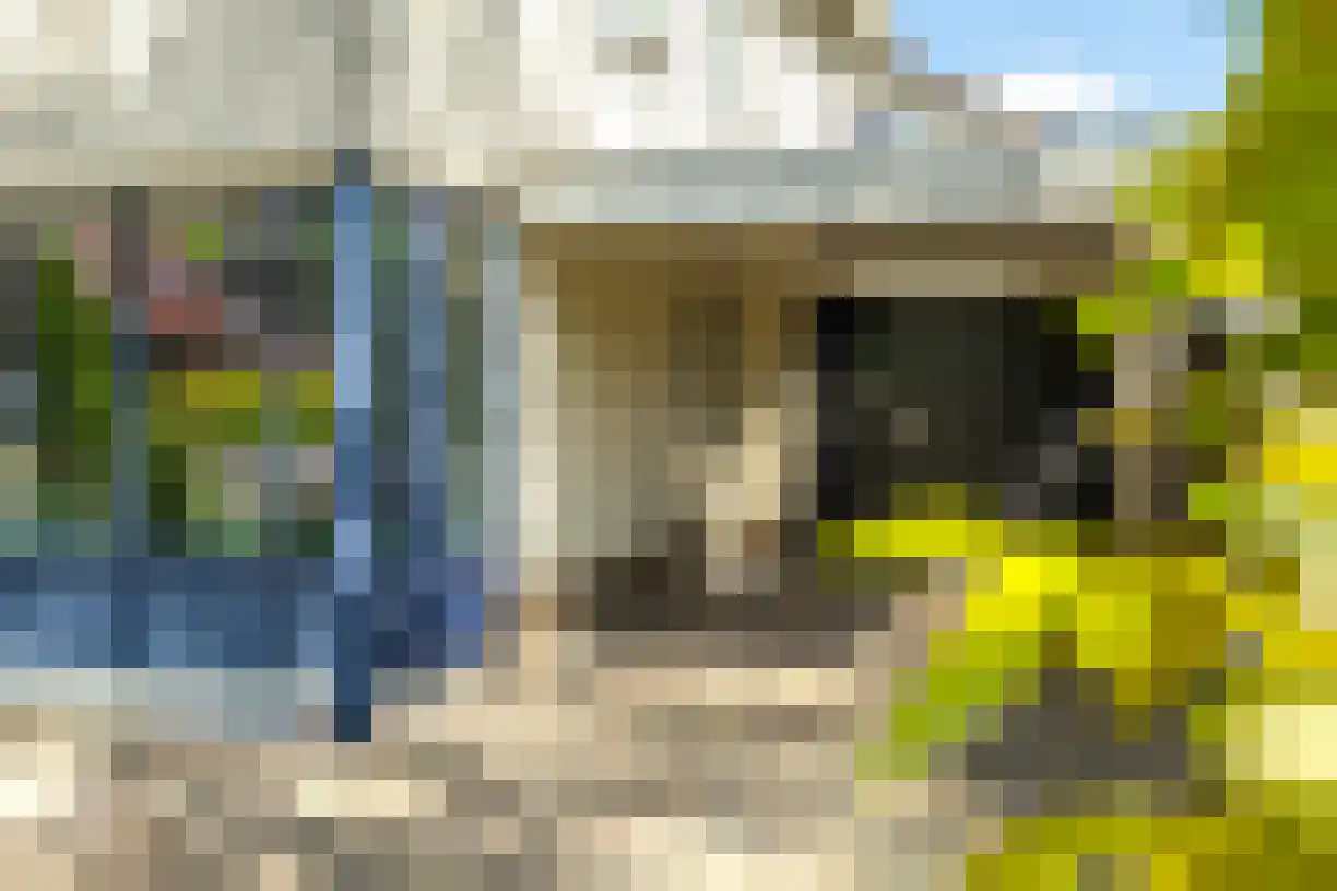Schering 7 Wierden thumbnail 8