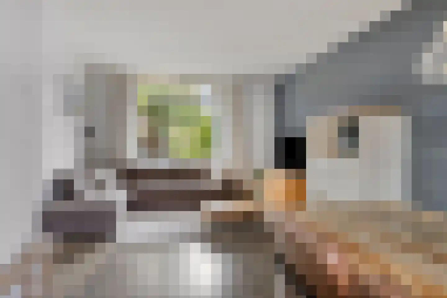 Scheringstraat 31 Winterswijk thumbnail 10