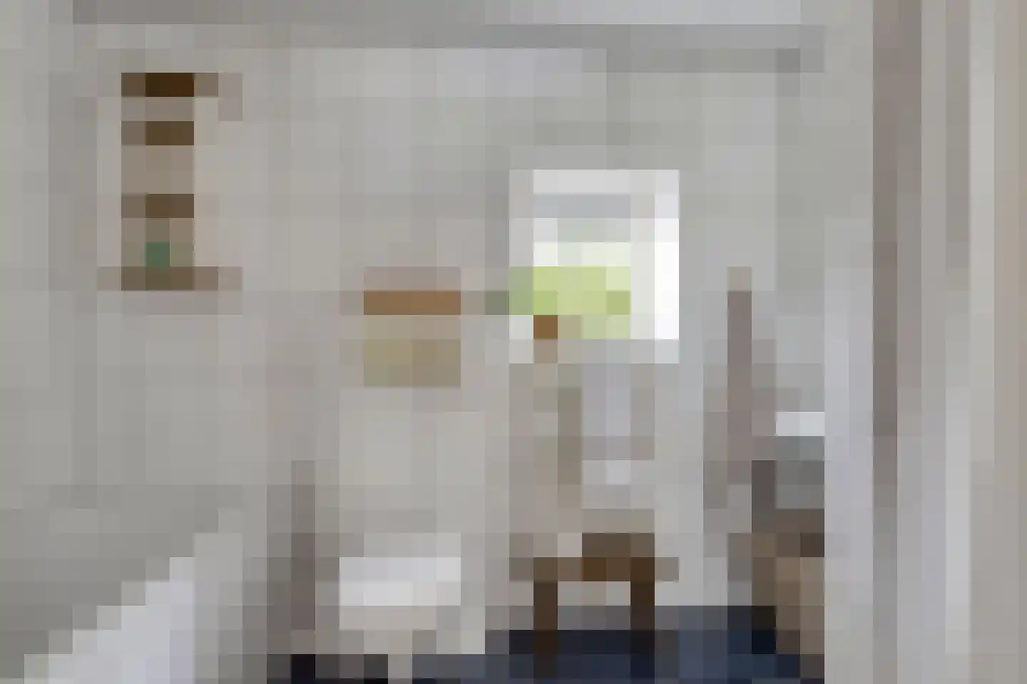 Scheringstraat 31 Winterswijk thumbnail 19