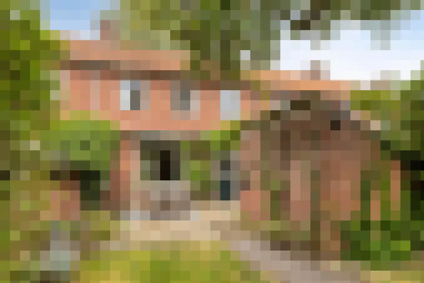 Scheringstraat 31 Winterswijk thumbnail 26