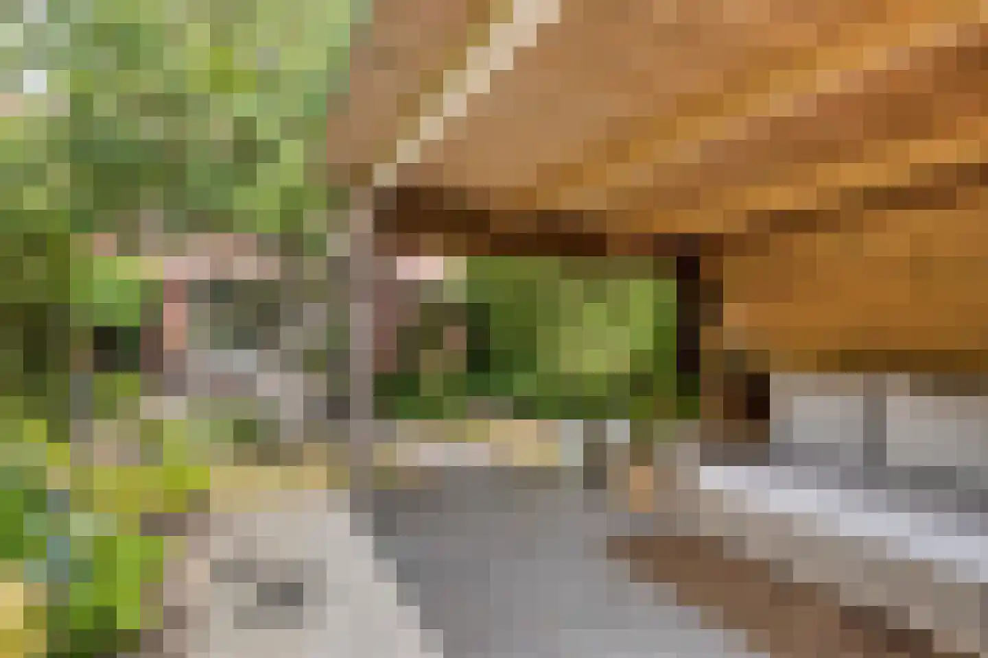 Scheringstraat 31 Winterswijk thumbnail 28