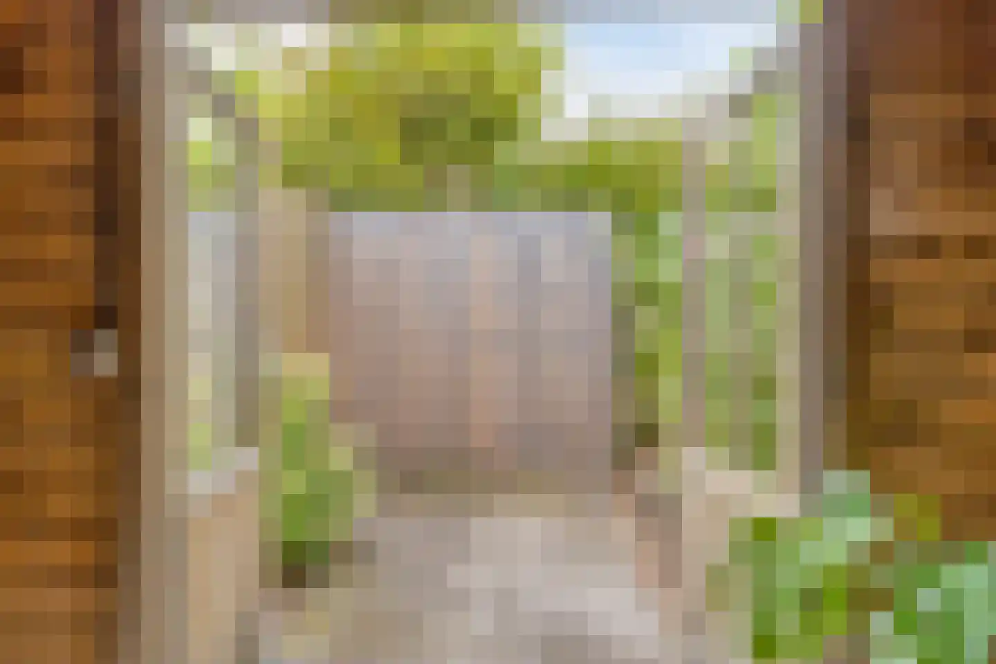 Scheringstraat 31 Winterswijk thumbnail 30