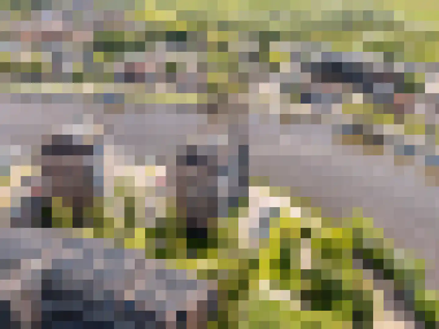 Scherm 23 Wormer foto 3