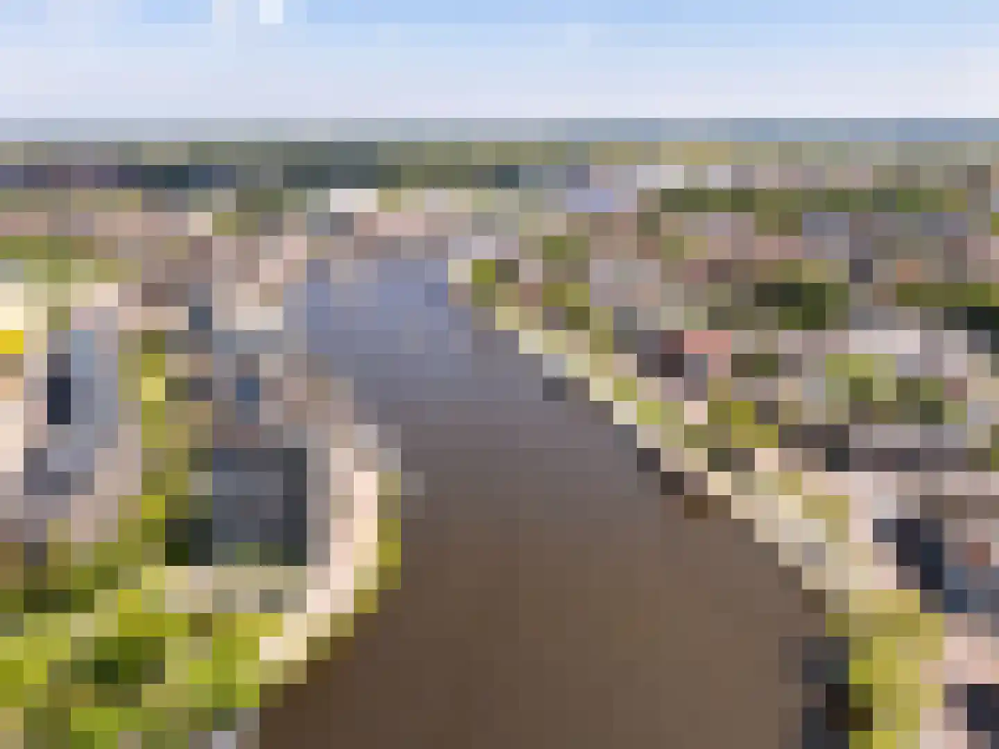 Scherm 23 Wormer thumbnail 4