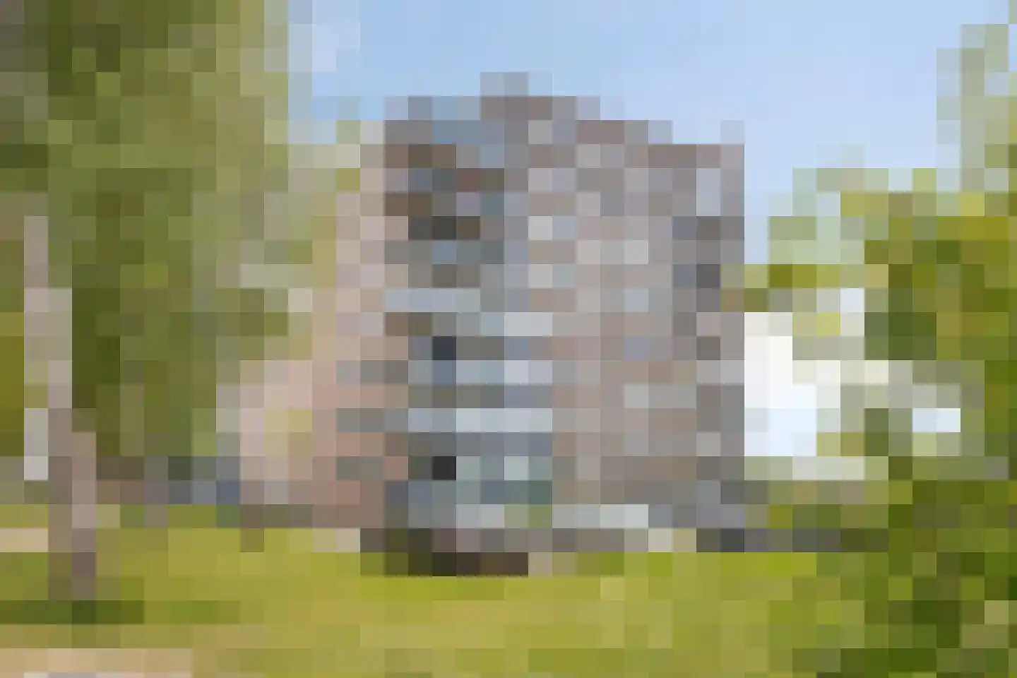 Scherm 23 Wormer thumbnail 5