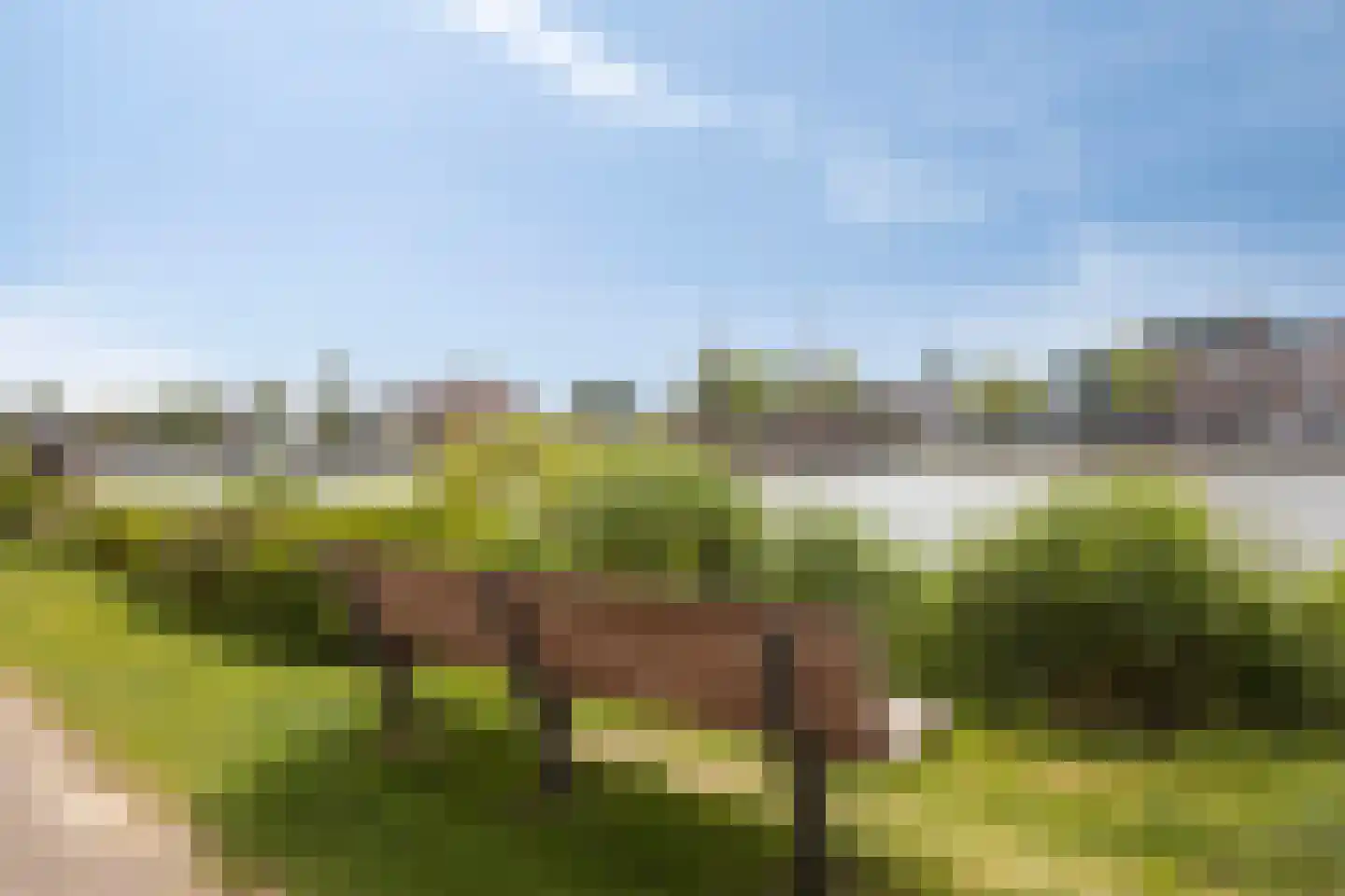 Scherm 23 Wormer thumbnail 50