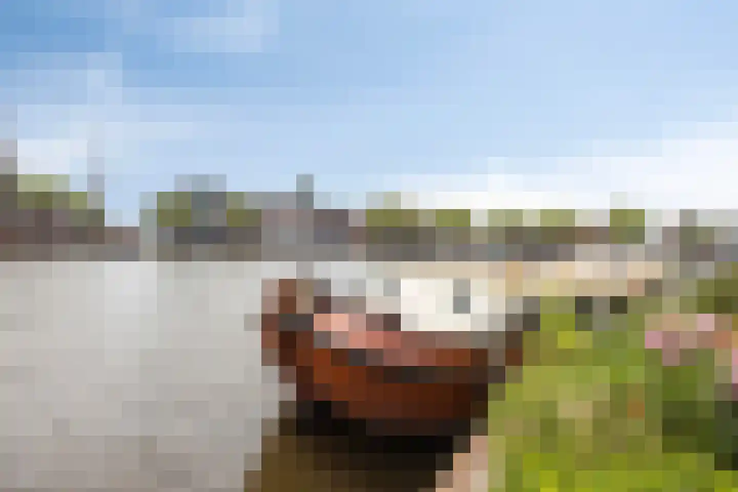 Scherm 23 Wormer thumbnail 54