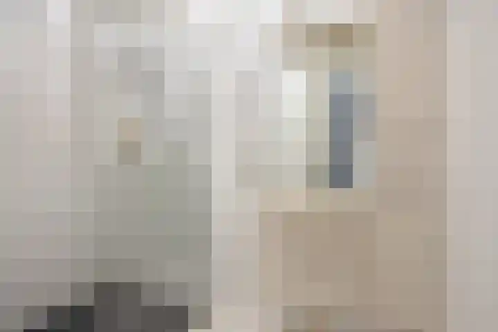 Schermbloem 23 Apeldoorn thumbnail 14