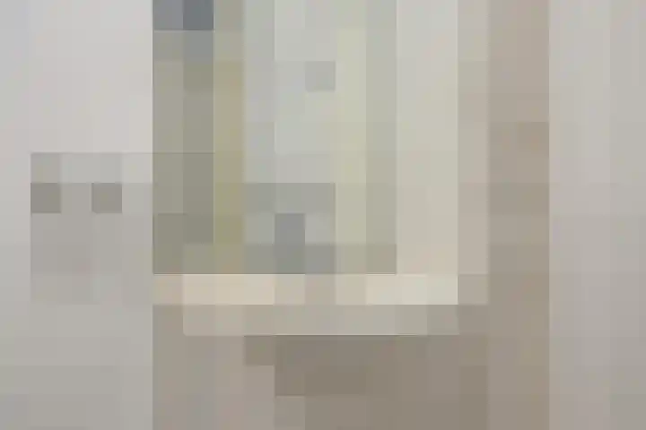 Schermbloem 23 Apeldoorn thumbnail 16