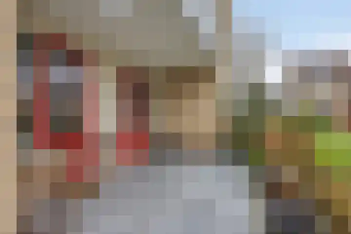 Schermbloem 23 Apeldoorn thumbnail 17