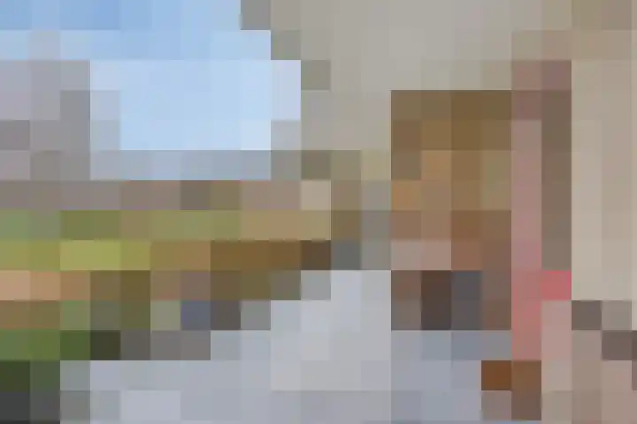 Schermbloem 23 Apeldoorn thumbnail 18