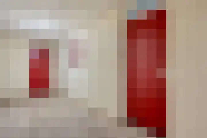 Schermbloem 23 Apeldoorn thumbnail 19