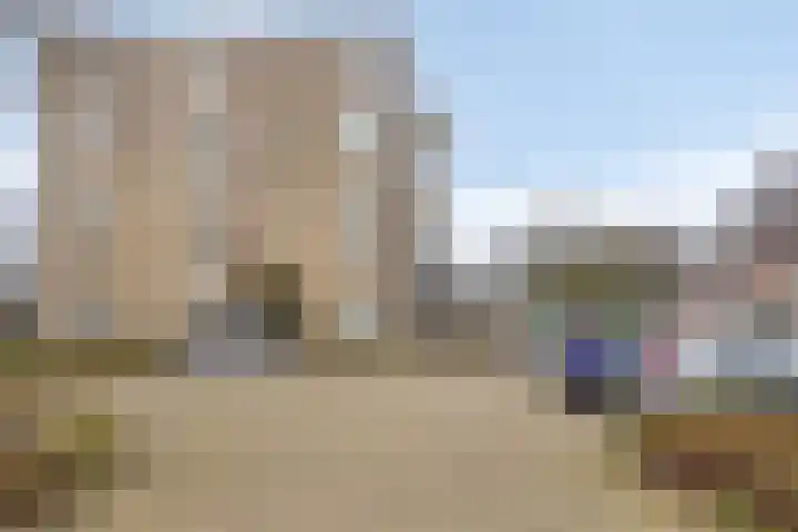 Schermbloem 23 Apeldoorn thumbnail 22