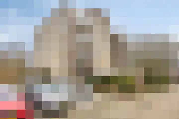 Schermbloem 23 Apeldoorn thumbnail 23