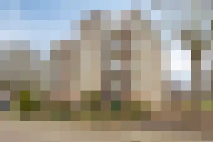 Schermbloem 23 Apeldoorn thumbnail 24