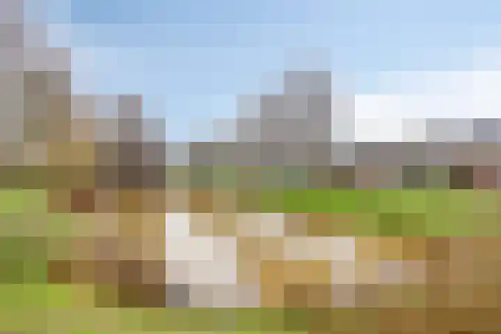 Schermbloem 23 Apeldoorn thumbnail 26