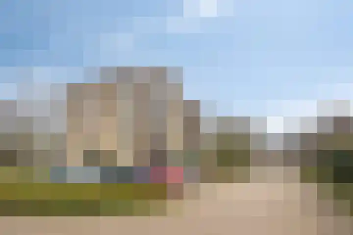 Schermbloem 23 Apeldoorn thumbnail 27