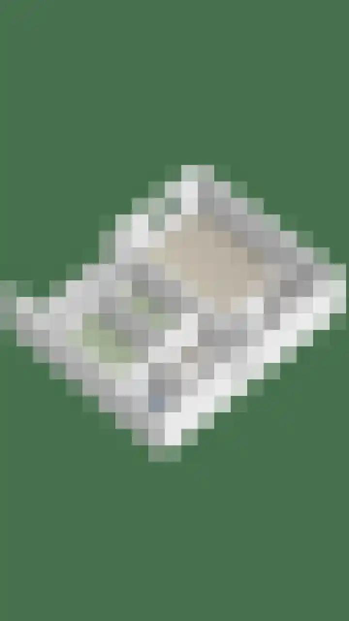 Schermbloem 23 Apeldoorn thumbnail 30