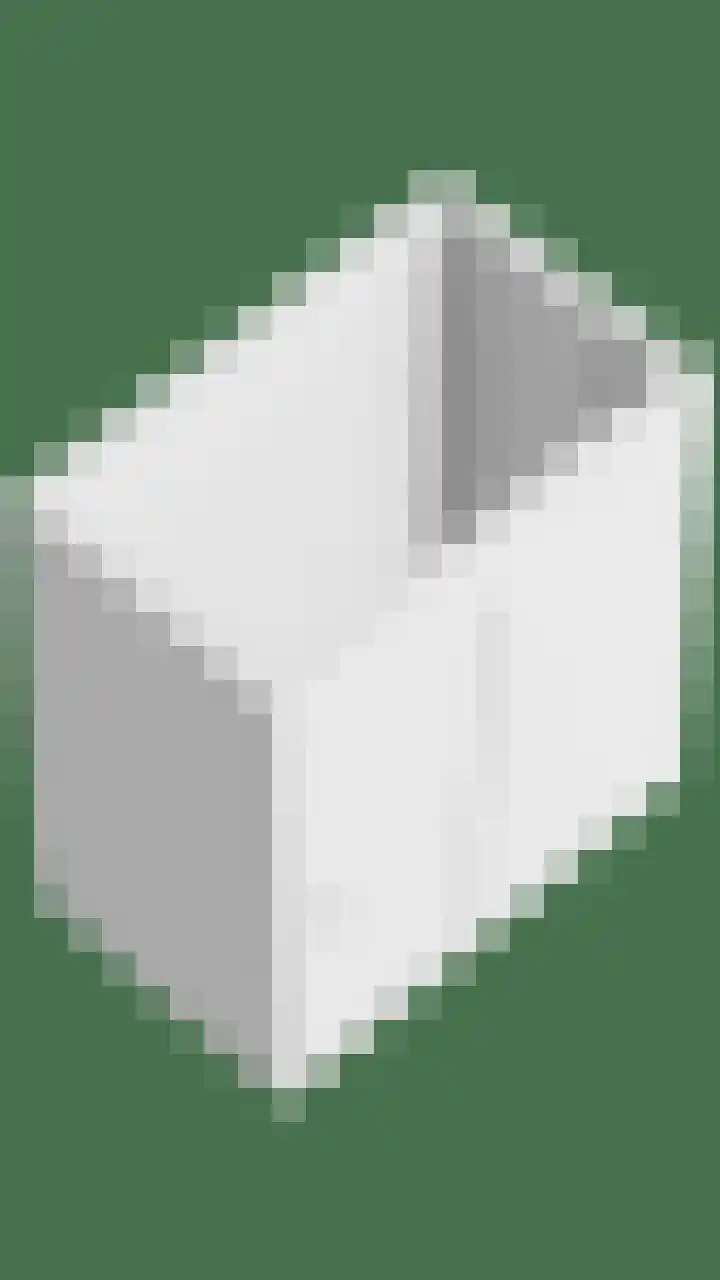 Schermbloem 23 Apeldoorn thumbnail 31