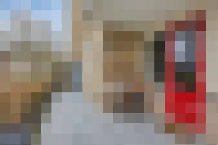 Schermbloem 23 Apeldoorn thumbnail 4