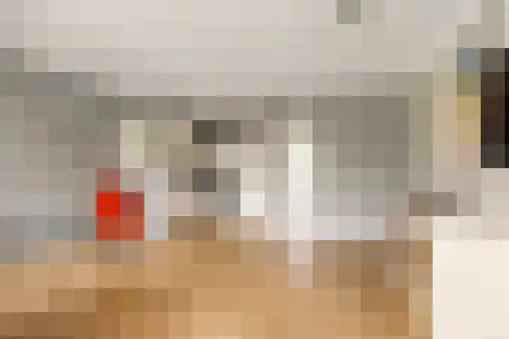 Schermbloem 23 Apeldoorn thumbnail 5