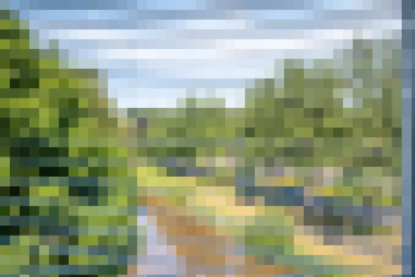Schermbloem 39 Apeldoorn thumbnail 11