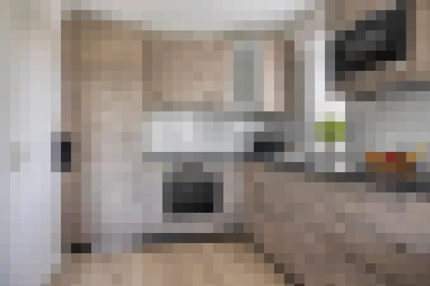Schermbloem 39 Apeldoorn thumbnail 12