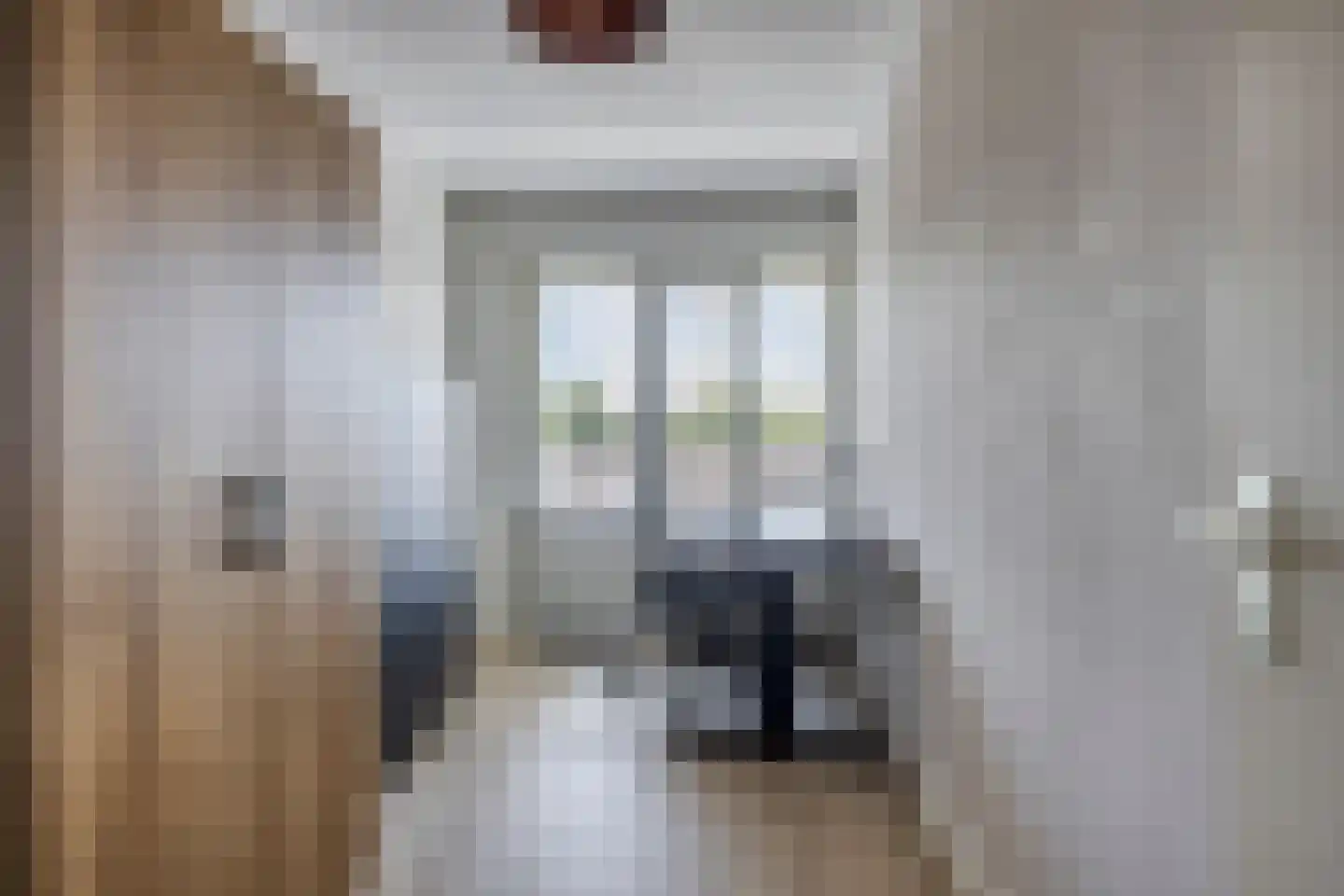 Schermbloem 39 Apeldoorn thumbnail 22