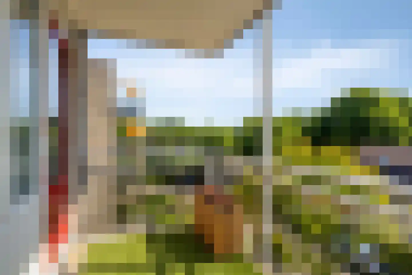 Schermbloem 39 Apeldoorn thumbnail 28
