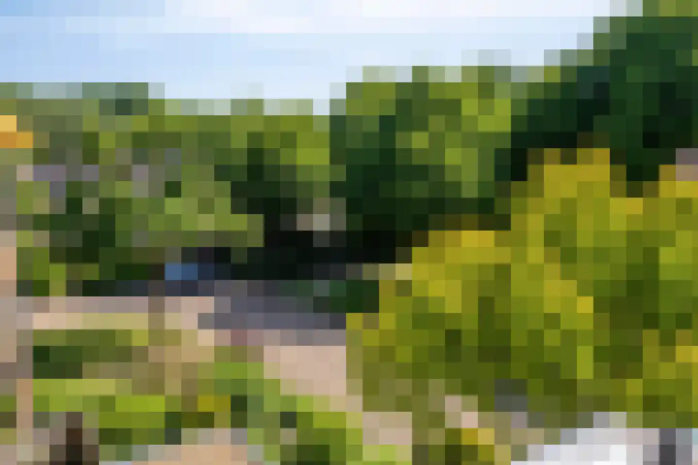 Schermbloem 39 Apeldoorn thumbnail 29