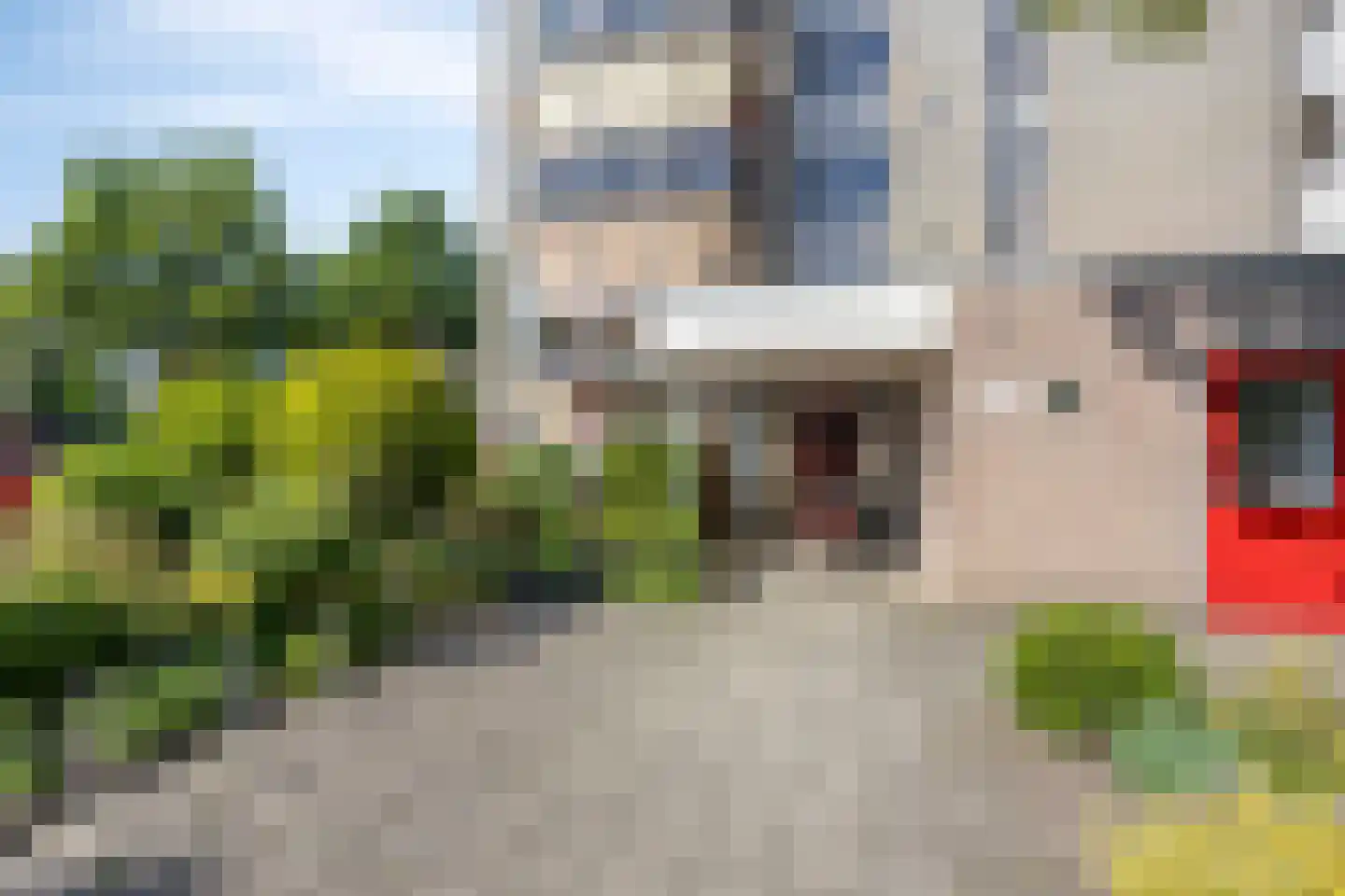 Schermbloem 39 Apeldoorn thumbnail 34