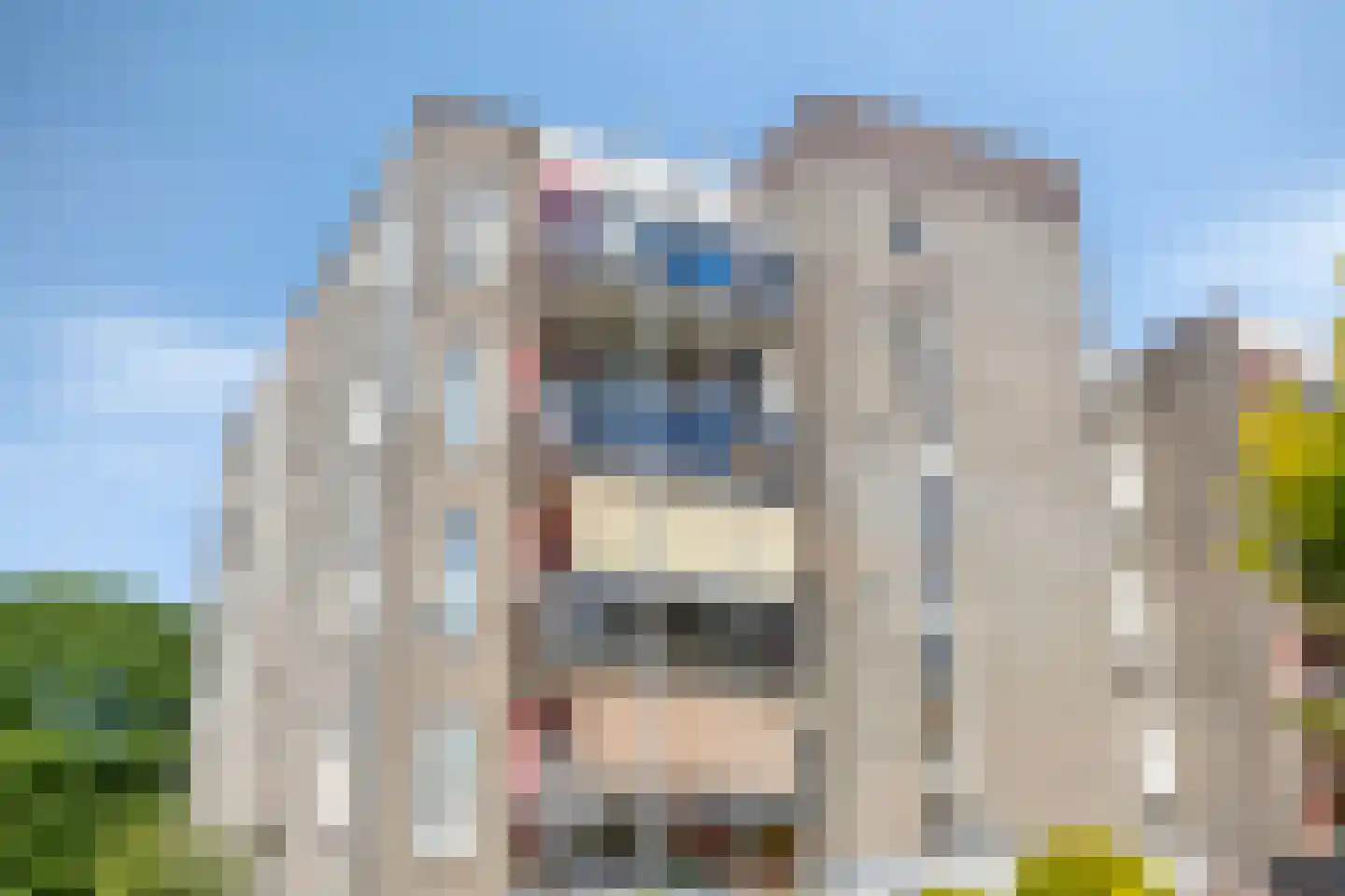 Schermbloem 39 Apeldoorn thumbnail 35