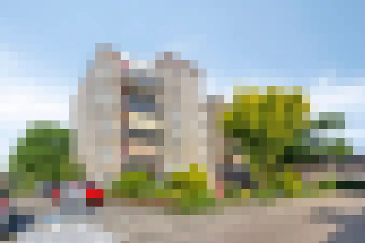 Schermbloem 39 Apeldoorn thumbnail 37