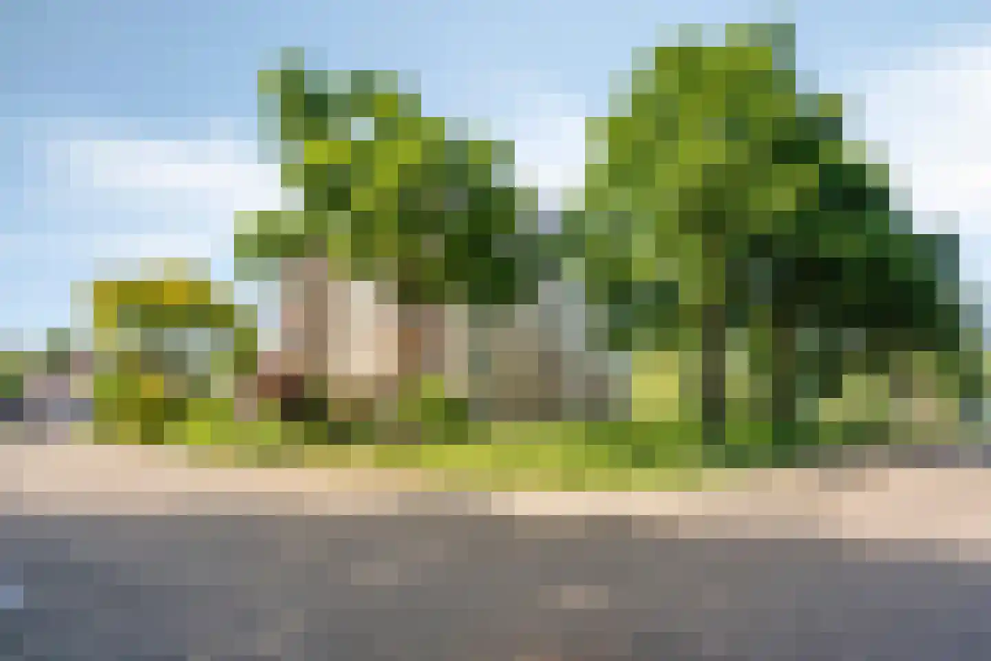Schermbloem 39 Apeldoorn thumbnail 40