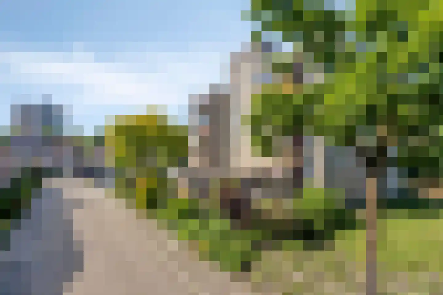Schermbloem 39 Apeldoorn thumbnail 41
