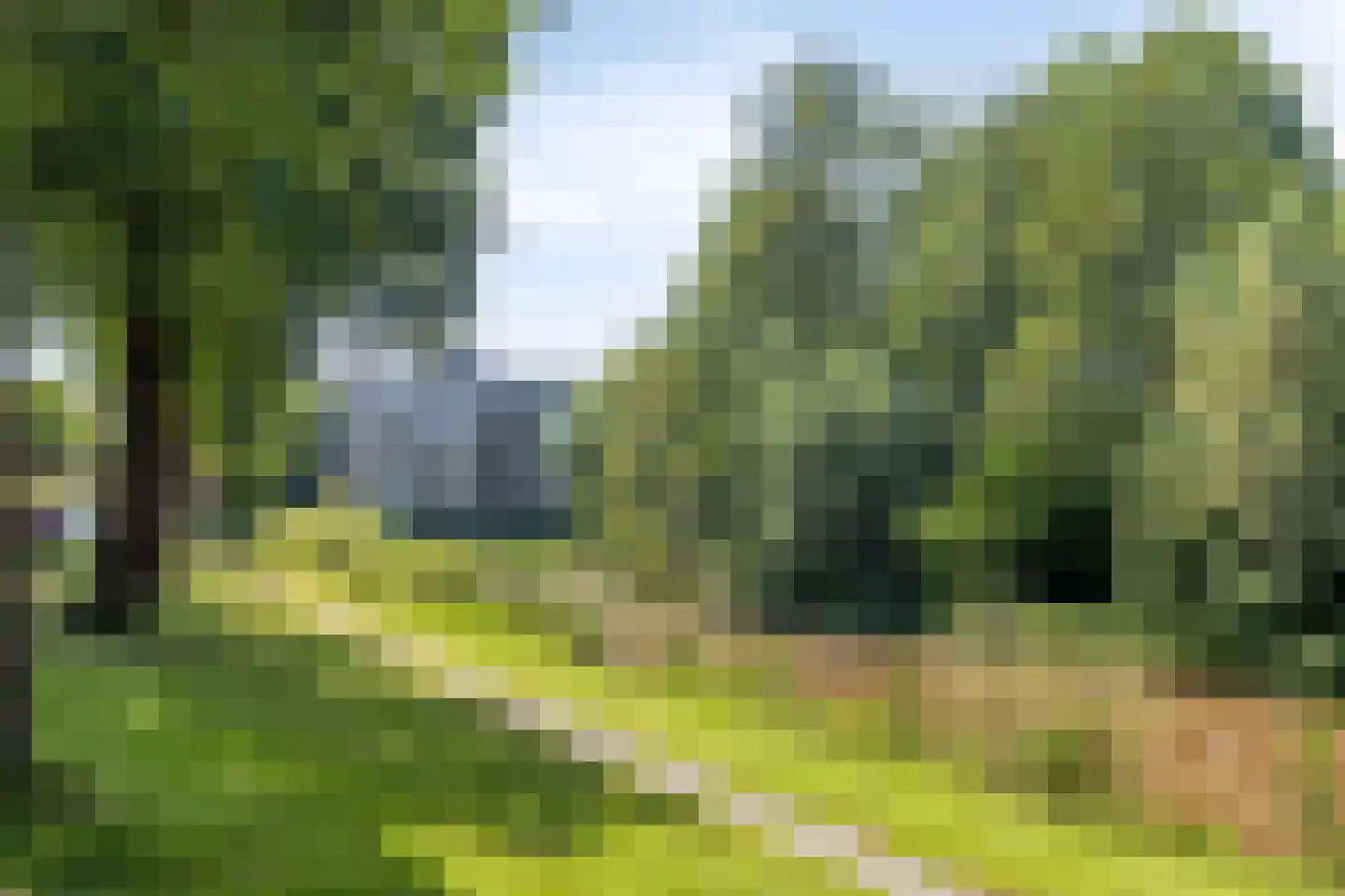 Schermbloem 39 Apeldoorn thumbnail 43