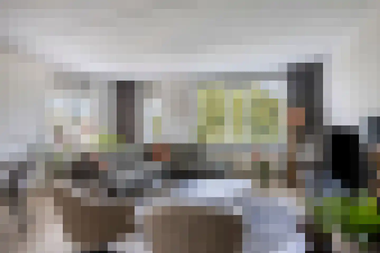 Schermbloem 39 Apeldoorn thumbnail 6