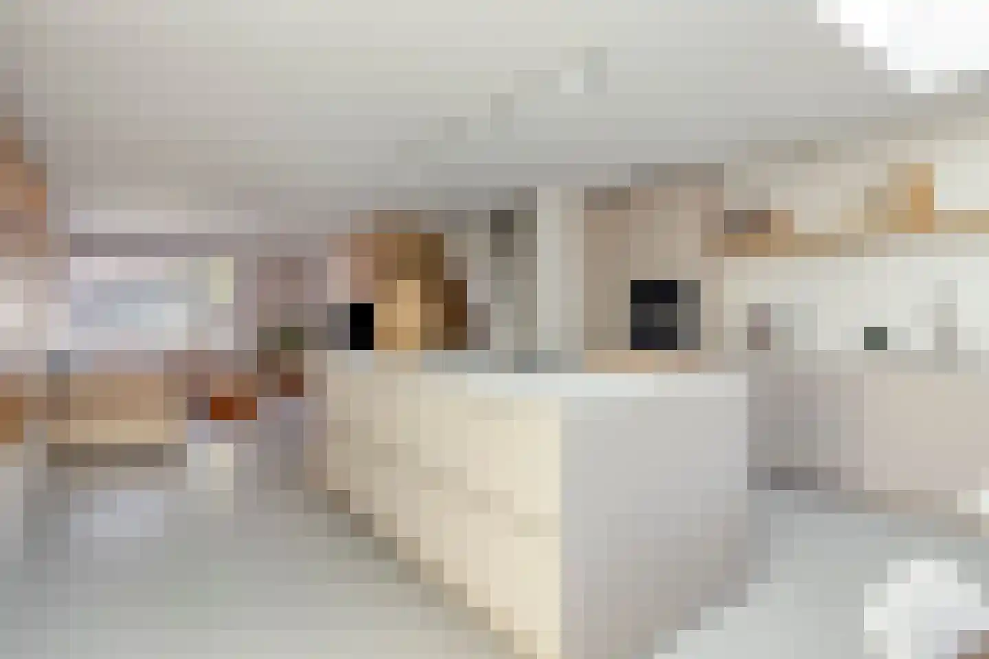 Schermeerstraat 1 Alkmaar thumbnail 10