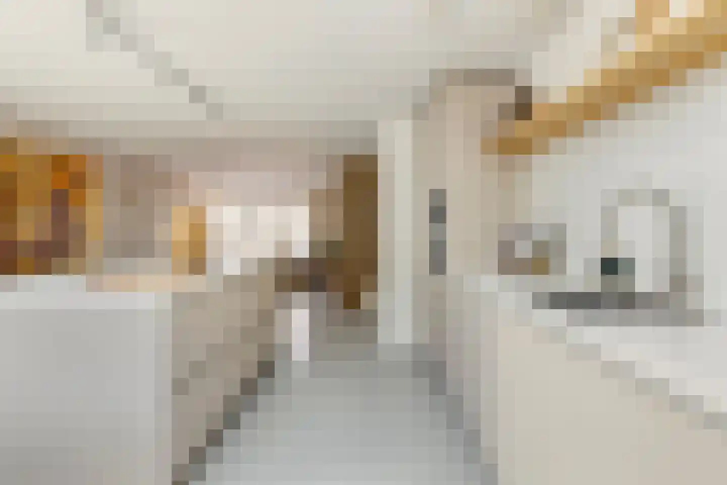 Schermeerstraat 1 Alkmaar thumbnail 11
