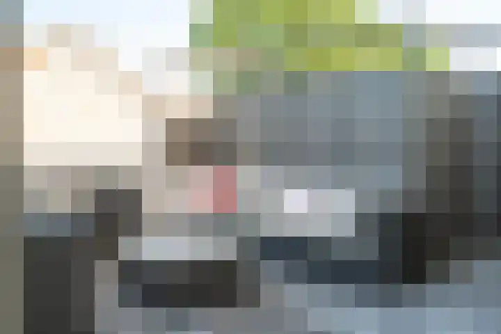 Schermeerstraat 11 A Stompetoren thumbnail 25