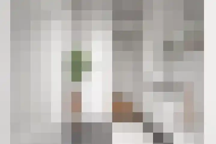 Schermeerstraat 11 B Stompetoren thumbnail 10