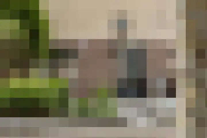 Schermeerstraat 11 B Stompetoren thumbnail 5