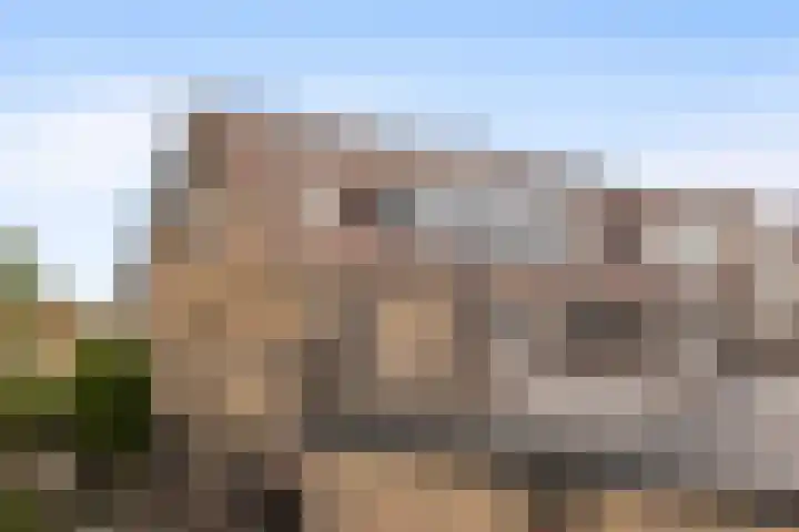 Schermeerstraat 11 B Stompetoren thumbnail 6